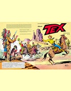 Download Livro Ilustrado (Vecchi) - Tex