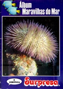 Download Livro Ilustrado Surpresa - Maravilhas do Mar
